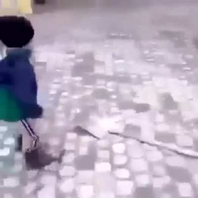 Smol idiot