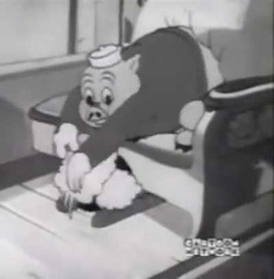 pig