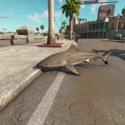 What the shark doing??