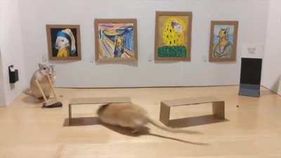 As promised, this is the full video of our gerbils visiting the museum. No gerbils or gallery assistants were harmed in the making of this.