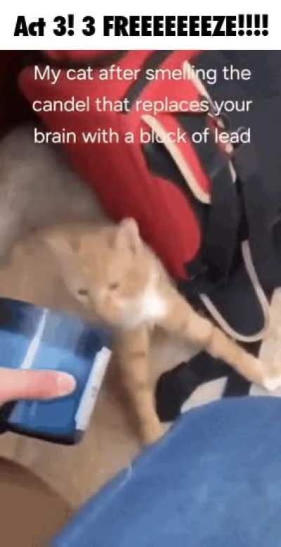 S H I T