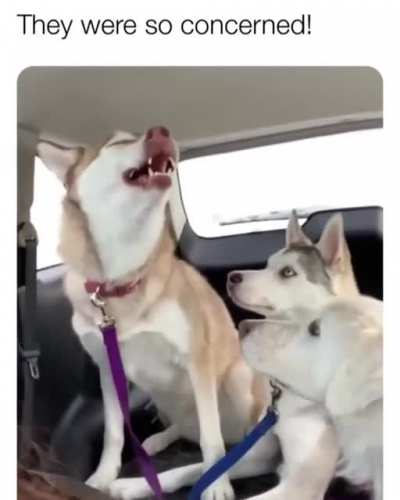 Smelling somethings wrong