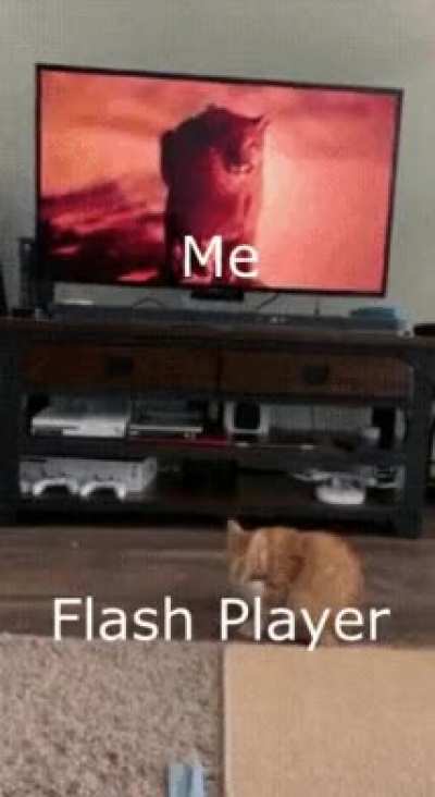 Last day (sorry for bad quality)