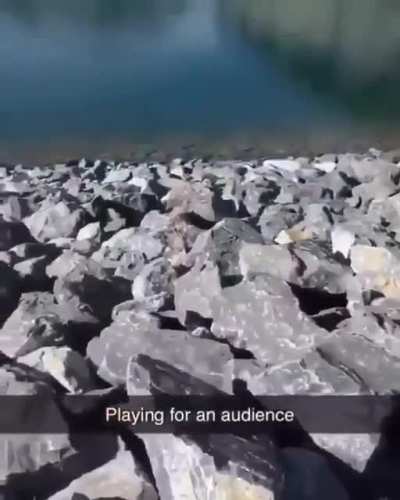 Playing for an audience