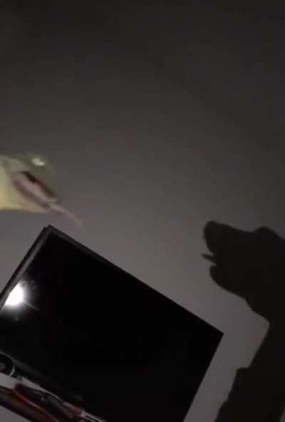 Weird puppets