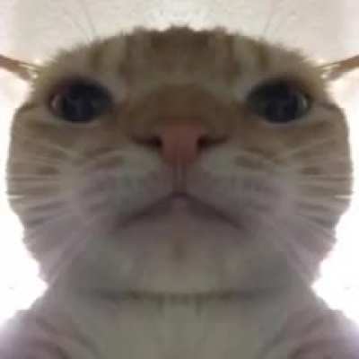 alguém poderia me dar o link ?