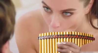 flute