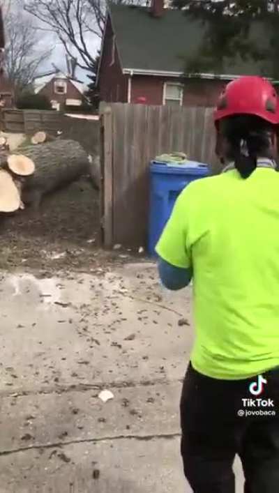 TIMBERRRR