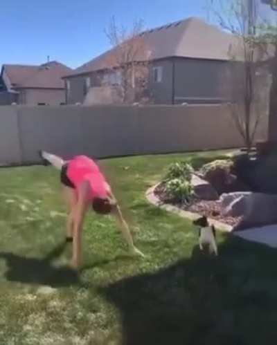 HMB while I scream 