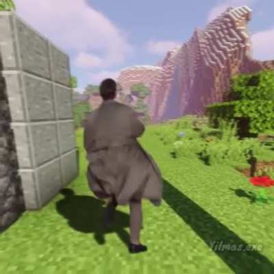 Minecraft be like
