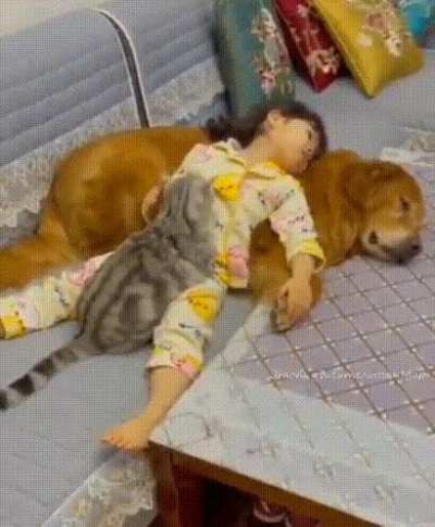 Сонное царство