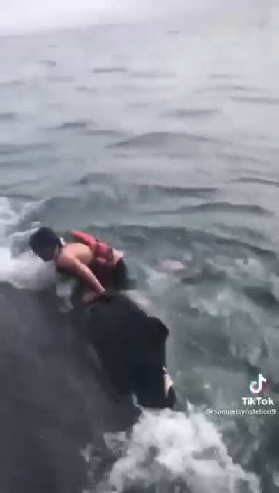 Let me just jump on this whale....