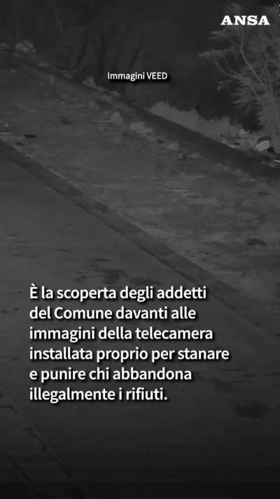 Catania, addestra il cane a buttare la spazzatura a bordo strada per eludere la sorveglianza