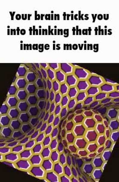 Rule