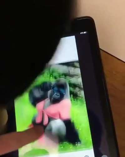 D:
