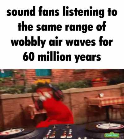 audiophiles