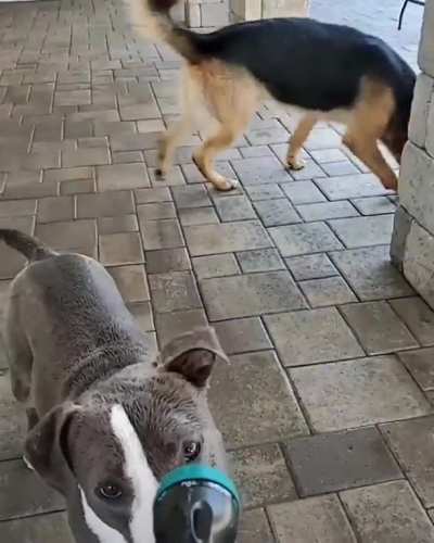 Water time