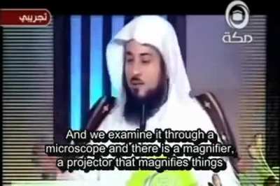 The 