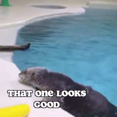 Inspector Otter - Episode 11
