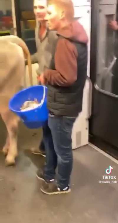 It gets weirder