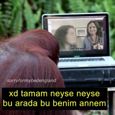 *MONKE FLIP*