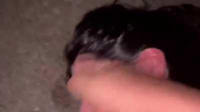 Source??