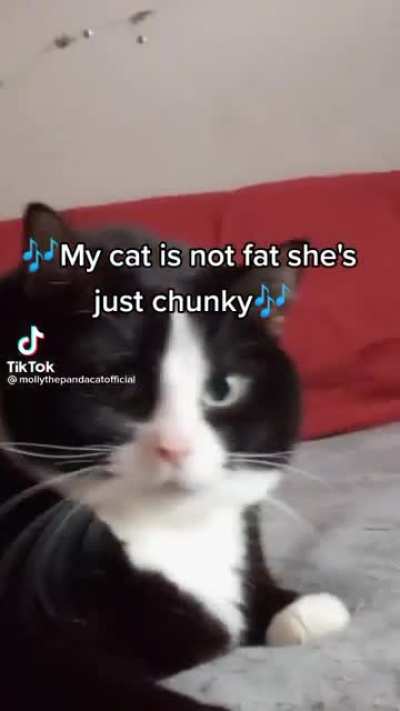 Other people: your cat is way too fat… Me: