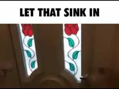 Stoopid snk 🤣
