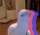 When the ambien kicks in