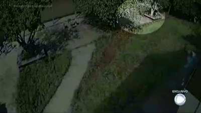 CCTV by Suzano school shooting, inside the school, showing Guilherme Taucci running after students and chaos in the school yard.