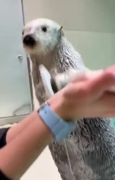 Maybe maybe maybe