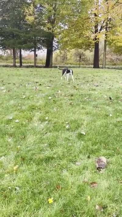 Just a quick casual game with a stick of his choice
