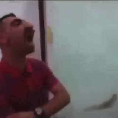 Cursed_Punch