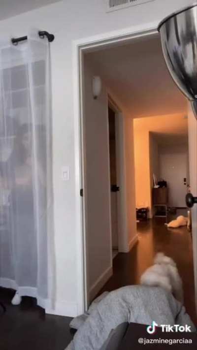 Nice booty