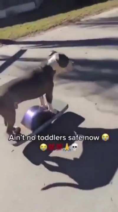 watch out kids