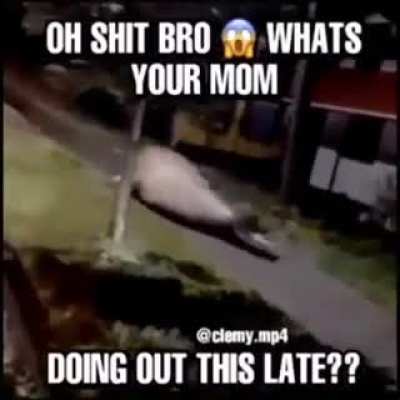 WHERE SHE GOING?