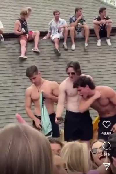 These guys just begging for attention and no one giving it to them