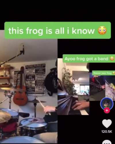 Just humans making a frogs dream come true