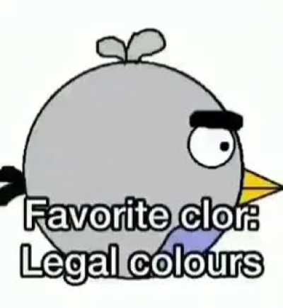 alex burd