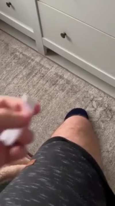 biscoito da sorte