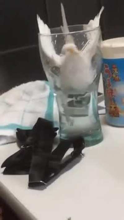Just gonna take a quick sip