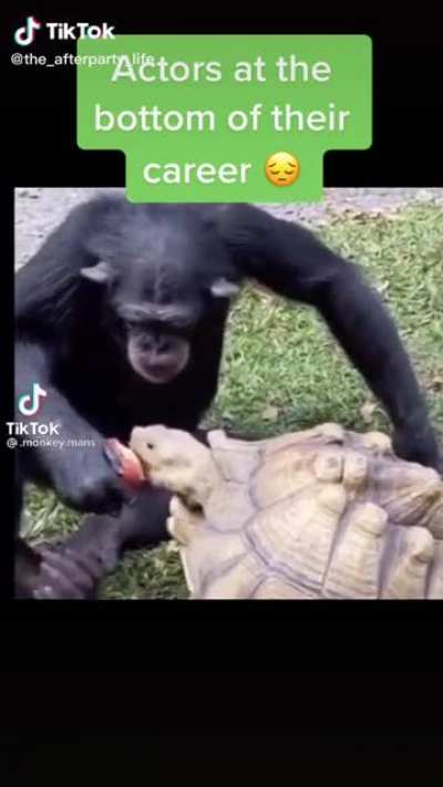 lol