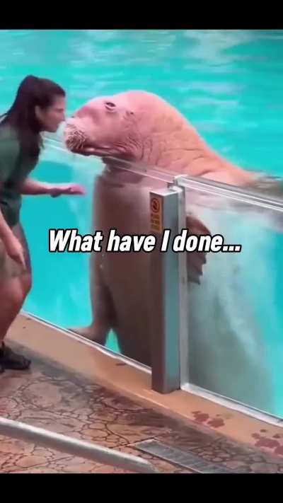 Wunk is regretful of his actions