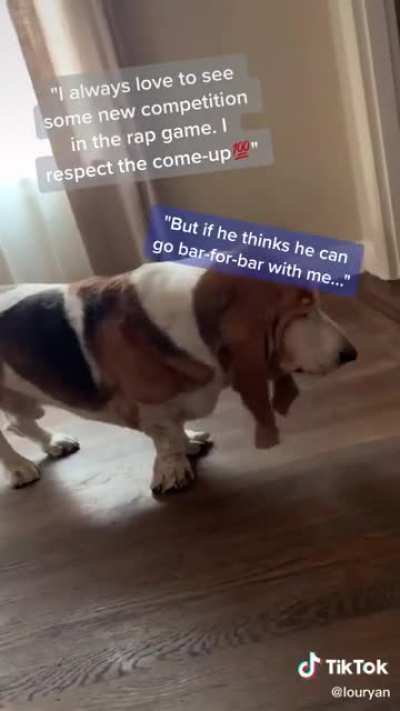 “What do you think of Travy catty”
