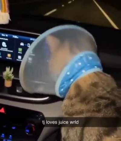 tj