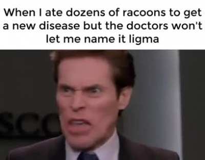 🦝