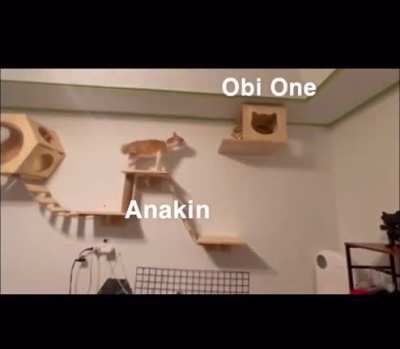 You underestimate my Pawer