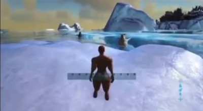 “you can’t climb”
