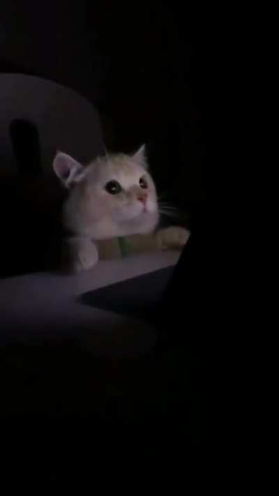 When someone suddenly turns the lights on