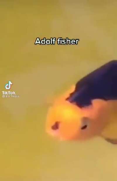 Adolf Fisher